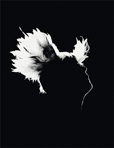 Le Meilleur des Enfoirs