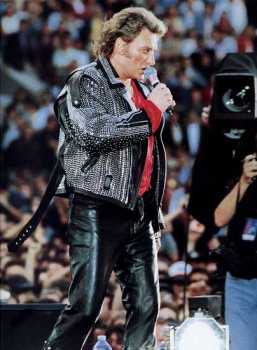 je ne suis qu'une pierre qui roule toujours