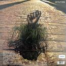 LP Back to black Flagrant dlit Universal 531 661-1