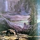 LP Back to black Hamlet Hallyday Universal 531 662-5