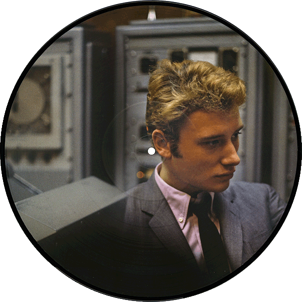 Double LP Picture Disk Picture Vinyle Collection 1964 : 1965 Universal 5378096