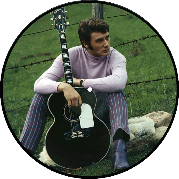 Double LP Picture Disk Picture Vinyle Collection 1966 : 1967 Universal 5378317