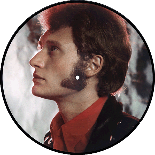 Double LP Picture Disk Picture Vinyle Collection 1966 : 1967 Universal 5378317