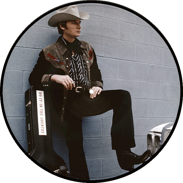 Double LP Picture Disk Picture Vinyle Collection 1973 : 1975 Universal 537940-7