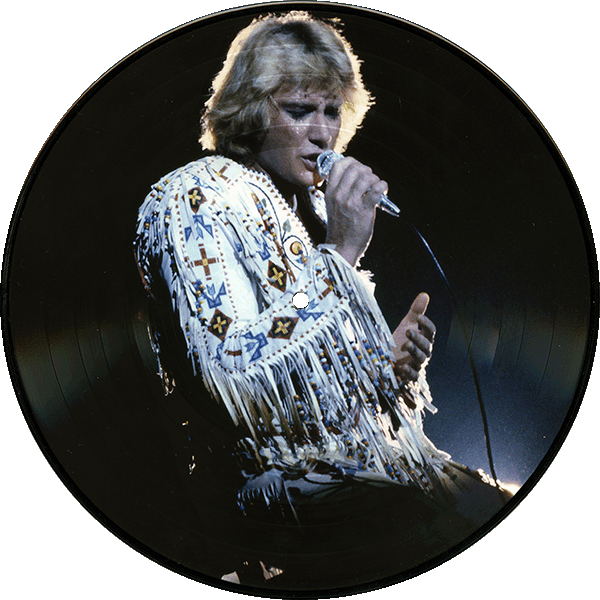 Double LP Picture Disk Picture Vinyle Collection 1979 : 1985 Universal 538043-6