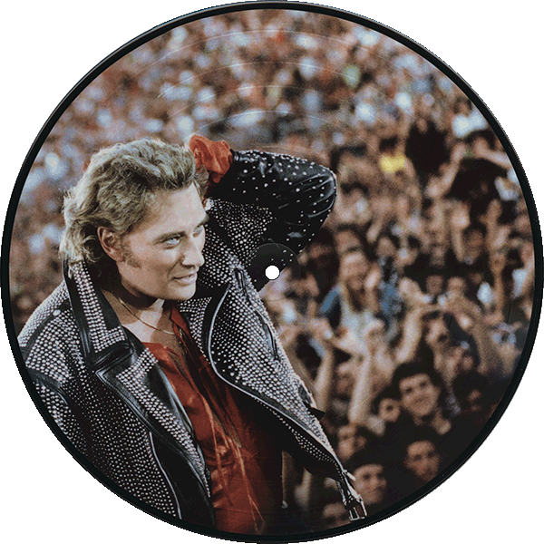 Double LP Picture Disk Picture Vinyle Collection 1990 : 1993 Universal 538044-4