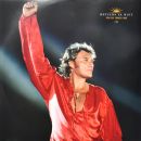 Coffret 5 LP  Parc des Princes 1993 25 anniversaire Universal 5383064