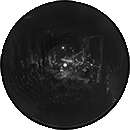 LP Picture disc Mon nom est Johnny Warner 0190296 215001