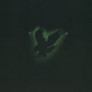 Coffret LP-CD-DVD Bercy Collector Bercy 95 Universal 0602448 971975