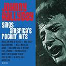 Johnny Hallyday Sings America's Rockin' hits